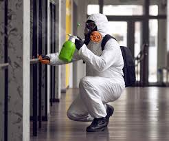 Best Forensic Mold Investigation  in Country Walk, FL